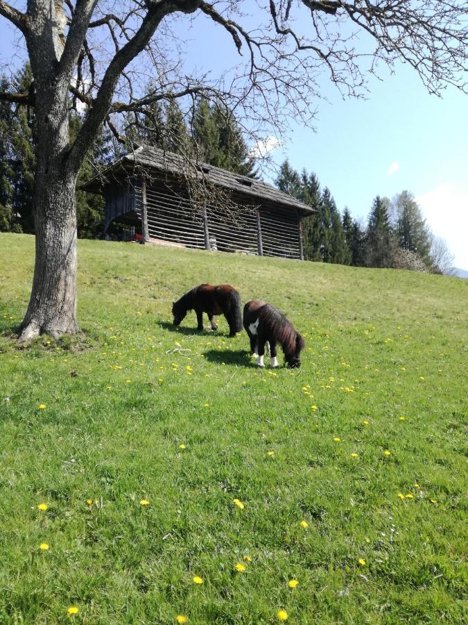 Haus Oswald Am See Hermagor-Pressegger See Εξωτερικό φωτογραφία
