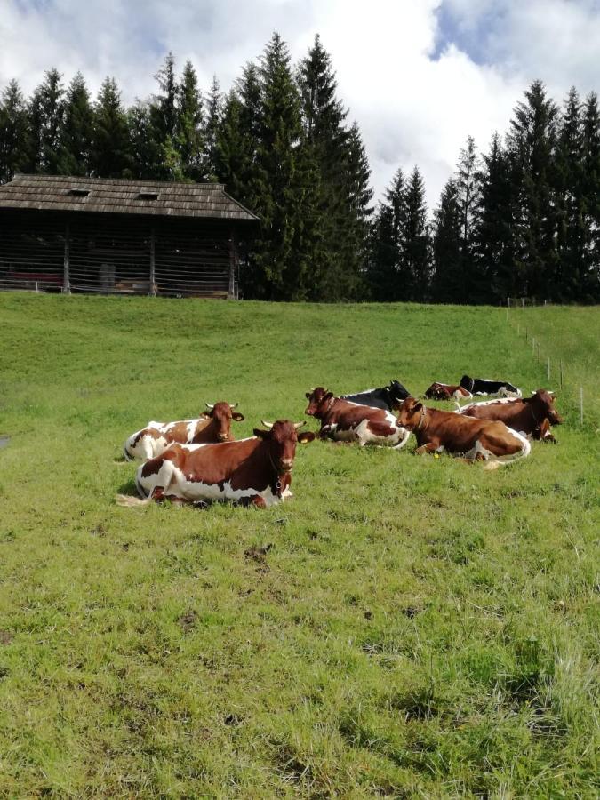 Haus Oswald Am See Hermagor-Pressegger See Εξωτερικό φωτογραφία
